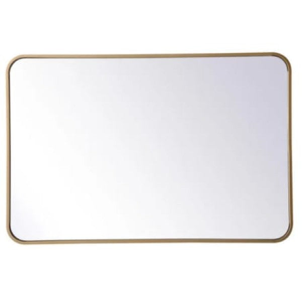 Elegant Lighting MR802436BR Evermore 24" W x 36" H Rectangular Framed Bathroom Wall Mirror