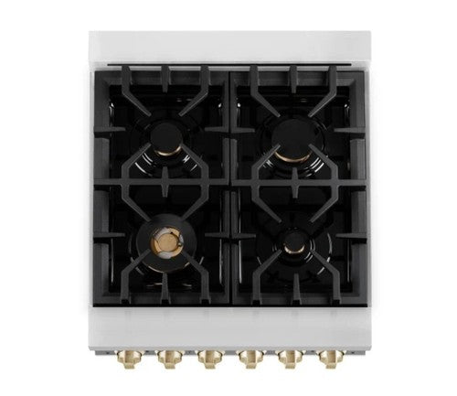 ZLINE 24 Dual Fuel Range Gas Stove Electric Oven WHITE STAINLESS RAZ-WM-24-G