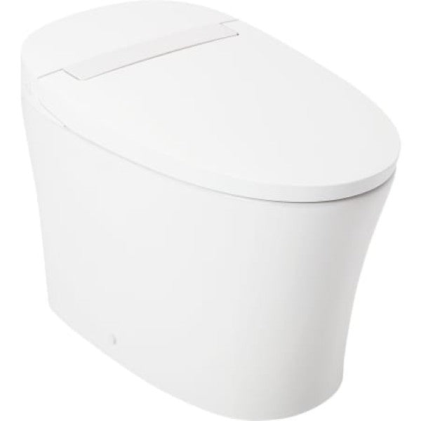 Signature Hardware 477058 Narelle 1.28 GPF One Piece Elongated Toilet - Stan